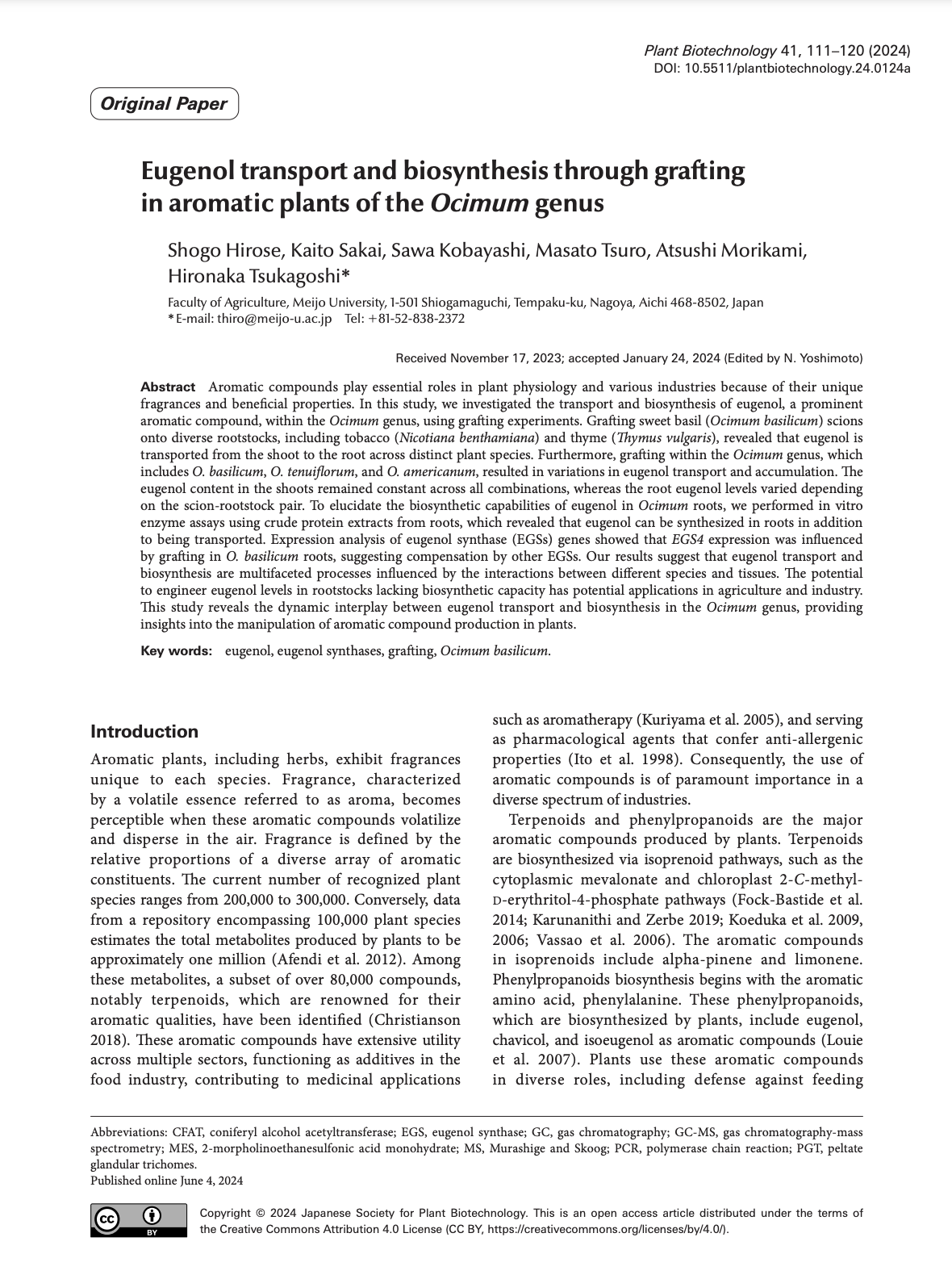2024 Eugenol transport and biosynthesis through grafting in aromatic plants of the Ocimum genus.png